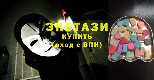 индика Кулебаки
