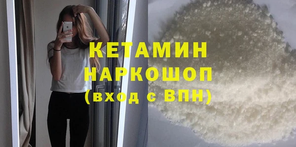 индика Кулебаки
