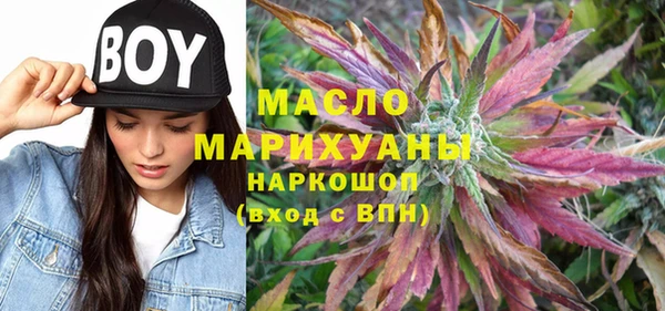 индика Кулебаки