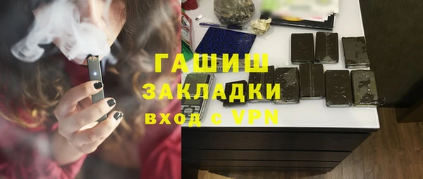 индика Кулебаки