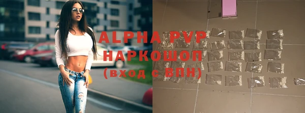 гидра Кукмор