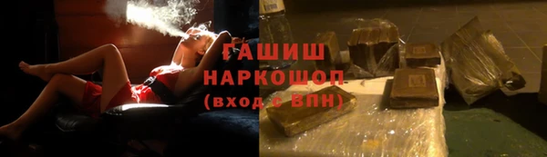 индика Кулебаки
