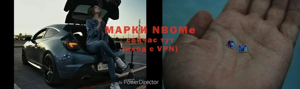 индика Кулебаки
