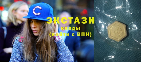 индика Кулебаки