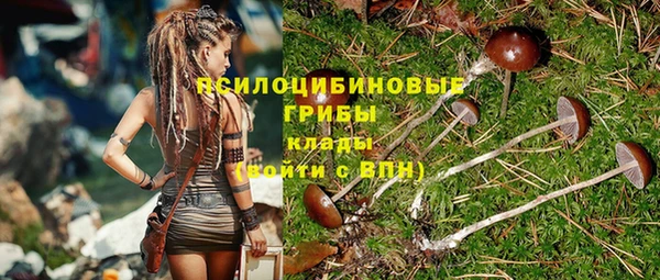 а пвп мука Куйбышев
