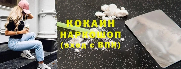 индика Кулебаки