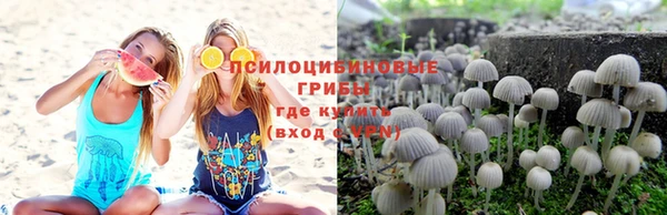 индика Кулебаки