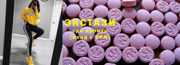 индика Кулебаки