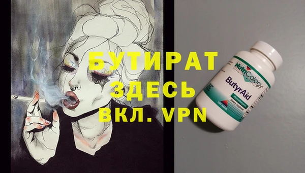 индика Кулебаки