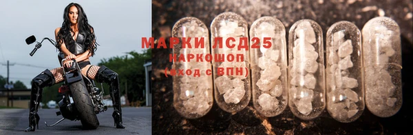 индика Кулебаки