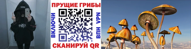 Псилоцибиновые грибы Psilocybe  Южноуральск 